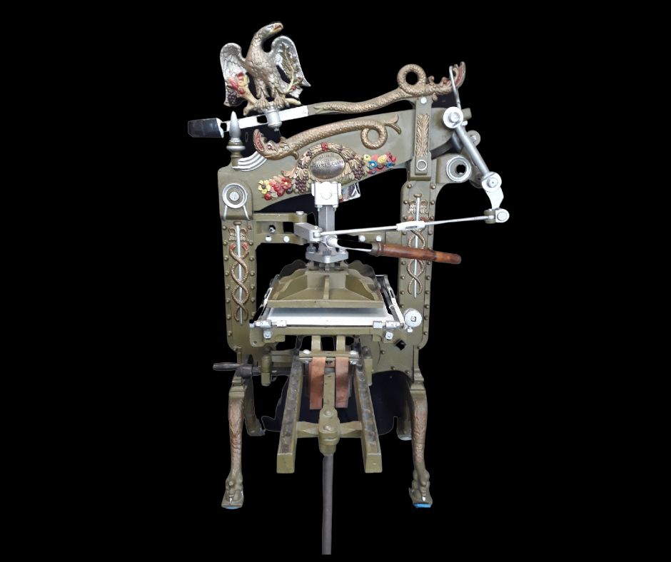 Mel Williams, Visitor Experience Kiwi North